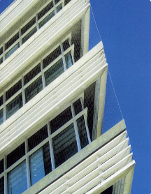 Bird proof netting