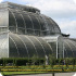 Kew Gardens