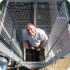 Ladder with safety cage